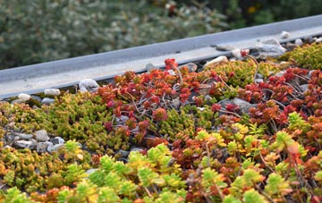 the cost of Cefn Y Pant green roof installation