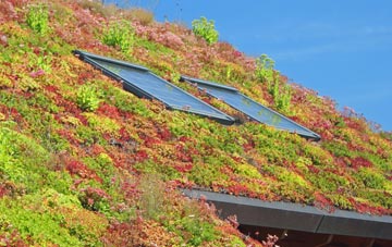 Cefn Y Pant living roof systems