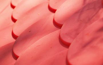 Cefn Y Pant plastic roof costs